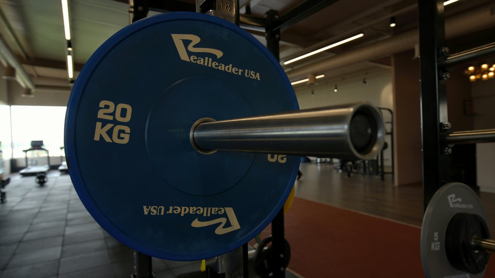Jayanagar 7th — free weights
